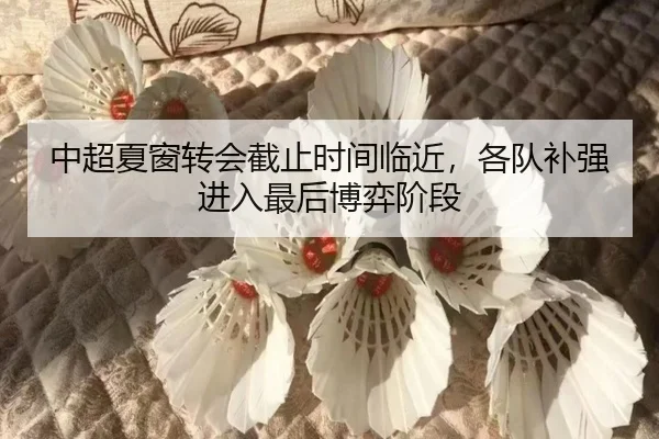 中超夏窗转会截止时间临近，各队补强进入最后博弈阶段